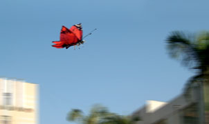 Machine Butterfly, the bionic vibrating-wing aircraft