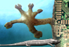 Robotic gecko & bionic materials